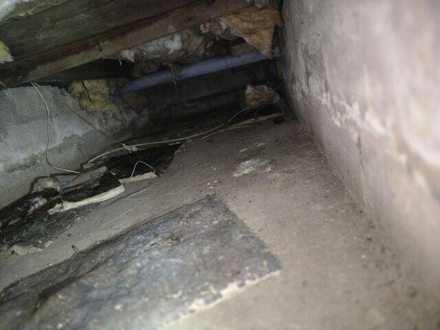 Damp Crawl Space