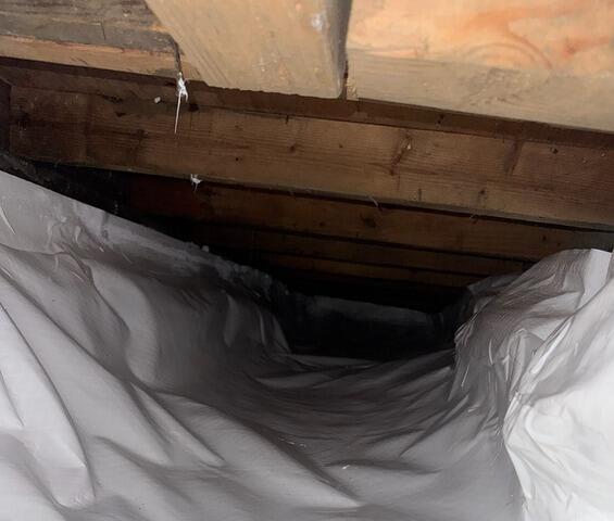 20 Mil CleanSpace Vapor Barrier