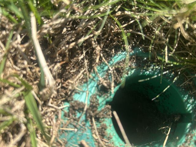 Protects Property 24/7