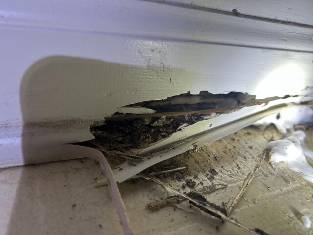 Now for the Liquid Termiticide