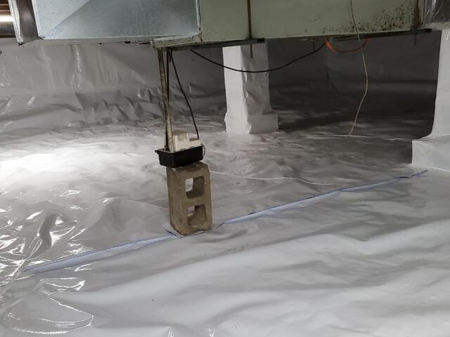 CleanSpace is Antimicrobial