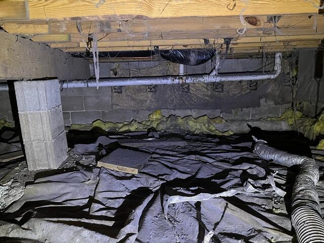 Musty Crawl Space
