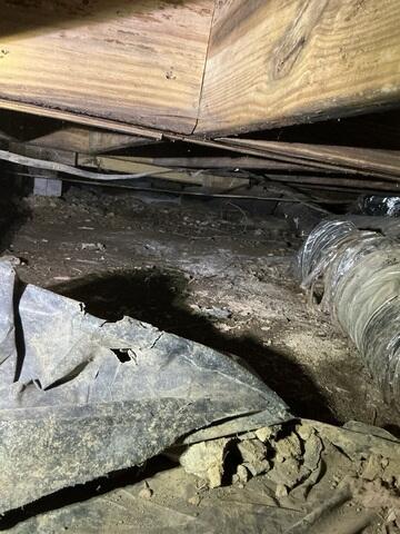 Crawl Space During Inspection