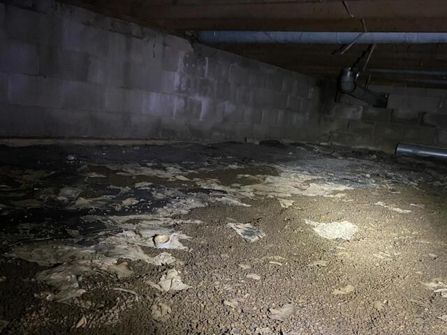 Musty Existing Crawl Space