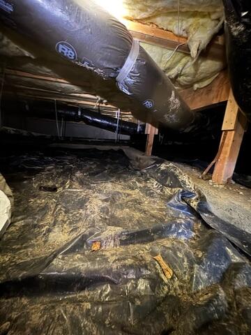 Dirty Crawl Space