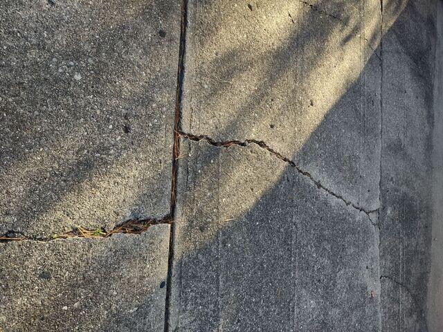 Cracked Driveway in Crittenden, KY