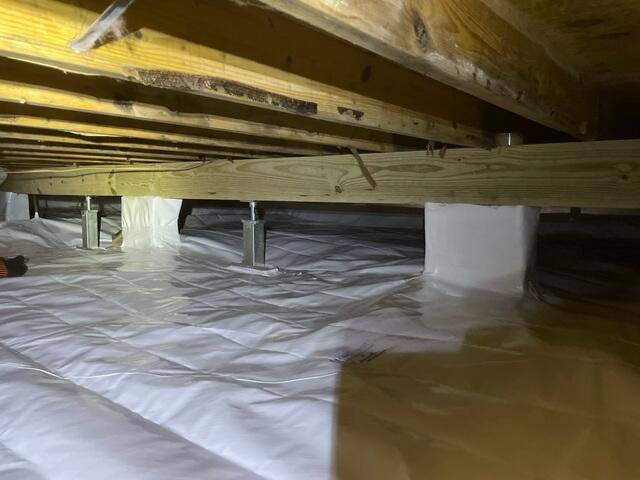 Crawl Space After