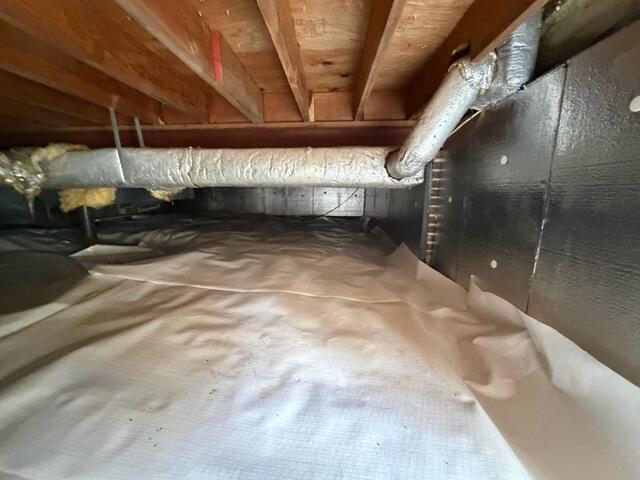 Crawl Space After