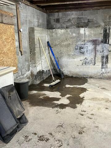 Wet Basement