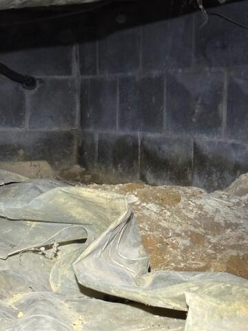 Crawl Space During Inspection