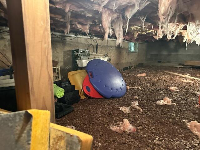 Wet Crawl Space Problems