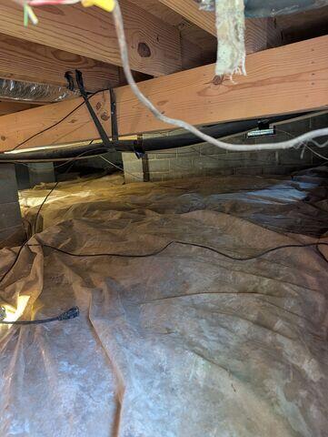 Mold Eliminated