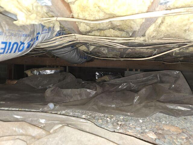 Crawl Space before