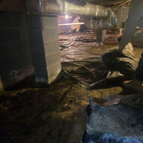 Crawl Space Before