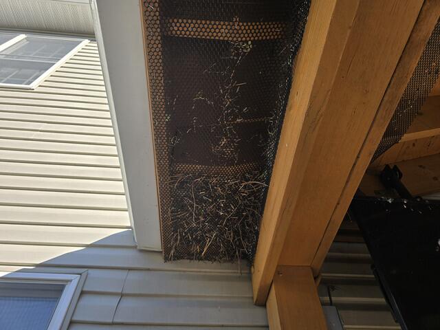 Filled With Nesting Debris