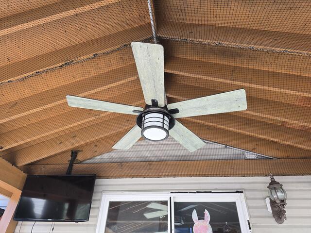 Excluded & Protected