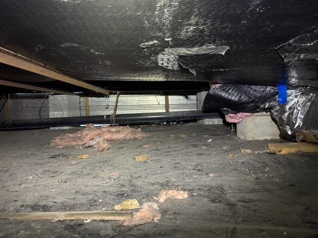 Evidence of Rodent and Water Intrusion