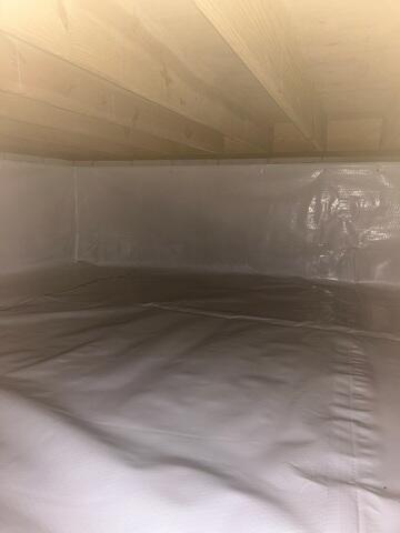 CleanSpace Liner