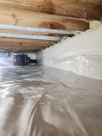 Dehumidifier