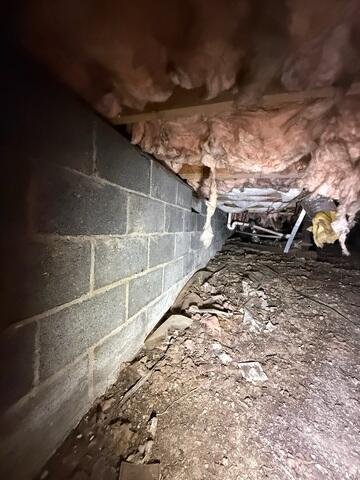 Moisture and Debris in Crawl Space