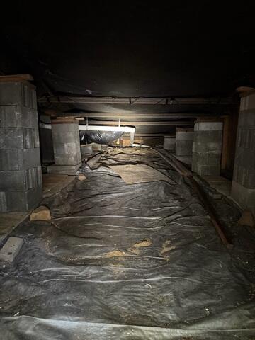 Dirty Crawl Space
