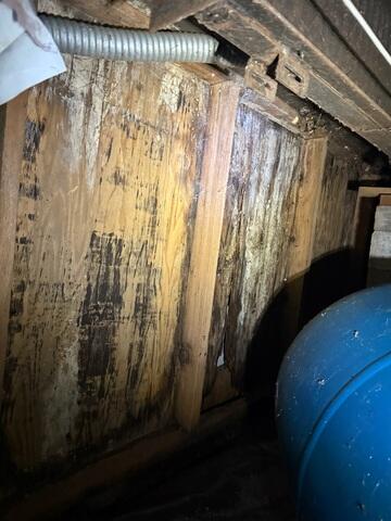 Mold Inside Crawl Space