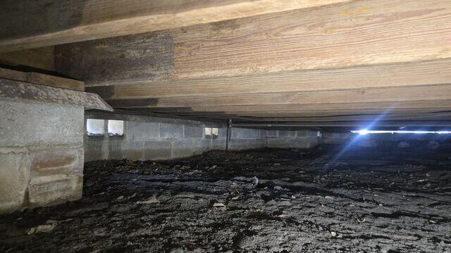 Crawl Space Inspection