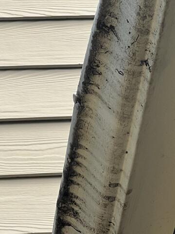 Gutter damage