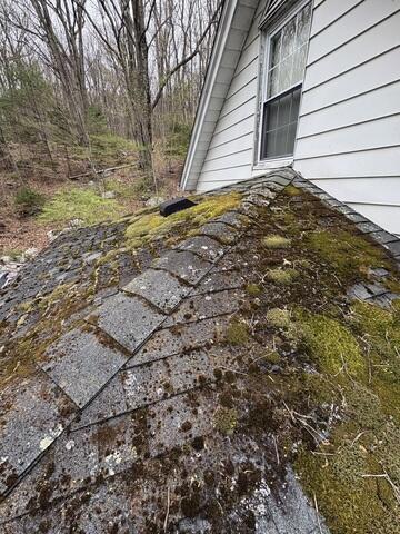 Moss Covered Shingles