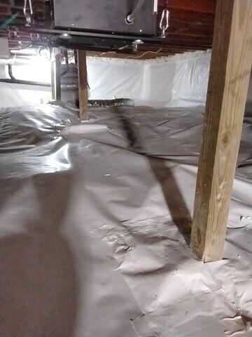 Mold Cannot Grow on CleanSpace