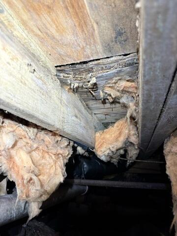 Nasty Insulation
