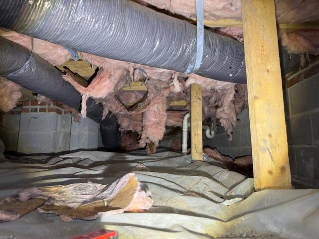 Nasty Crawlspace