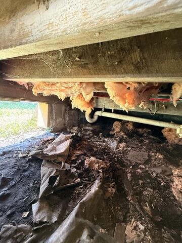 Nasty Crawlspace