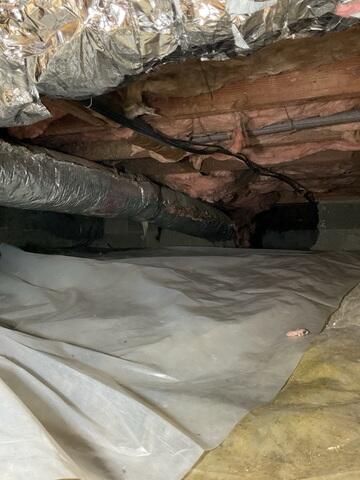 Typical Crawl Space
