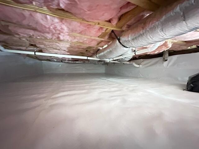 CleanSpace