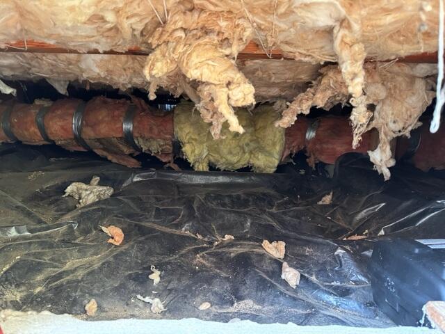 Dirty Crawl Space