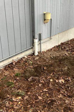 Finished Rain Drain Line