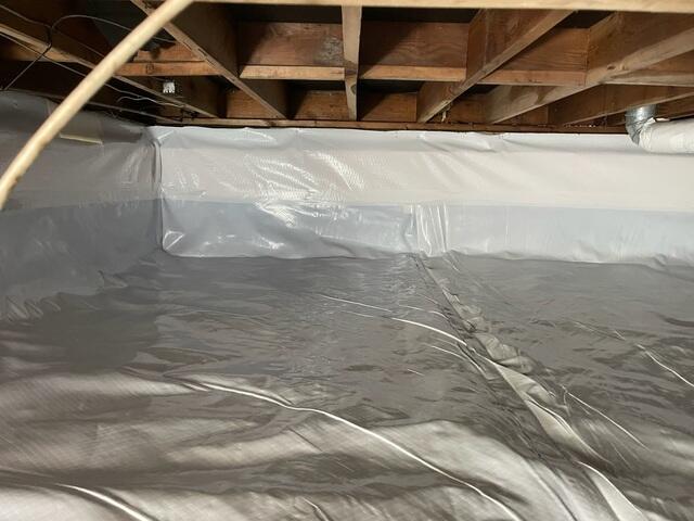 CleanSpace