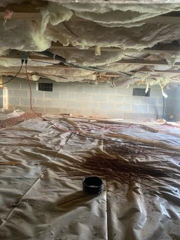 Before Encapsulation