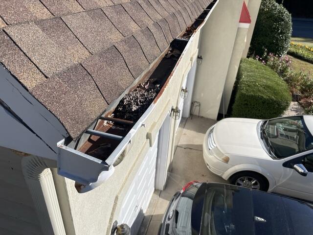 Clogged gutters