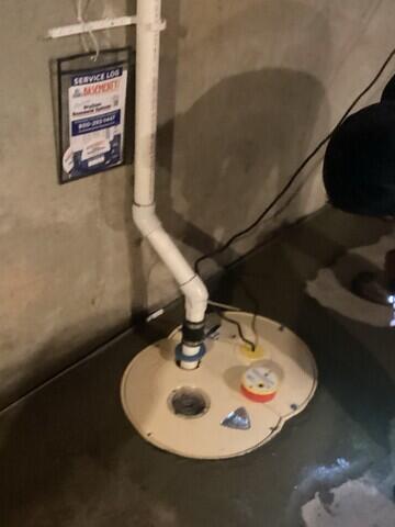 SuperSump Plus Sump Pump