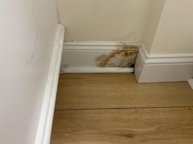 Moldy Finished Basement