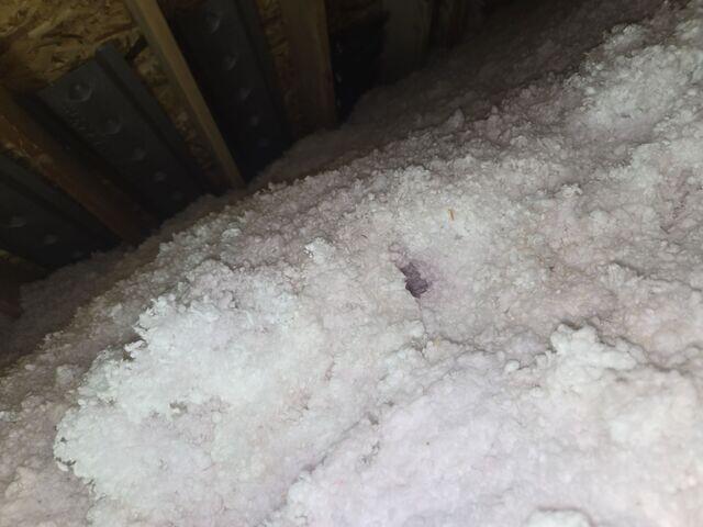 Old Insulation