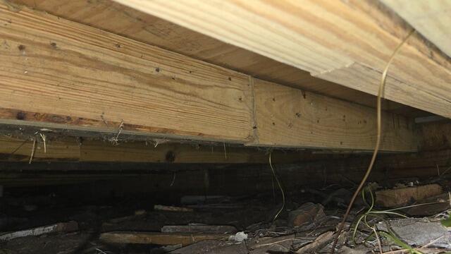 Sagging Floor Joists