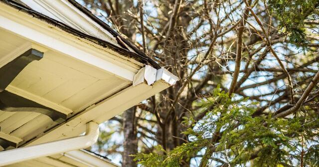 Old Gutters