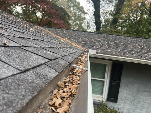 Gutter Debris