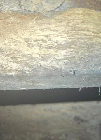 Mold on Wood Floor Joists