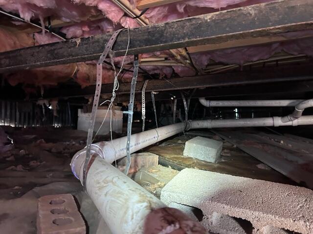 Growth on Wood Floor Joists