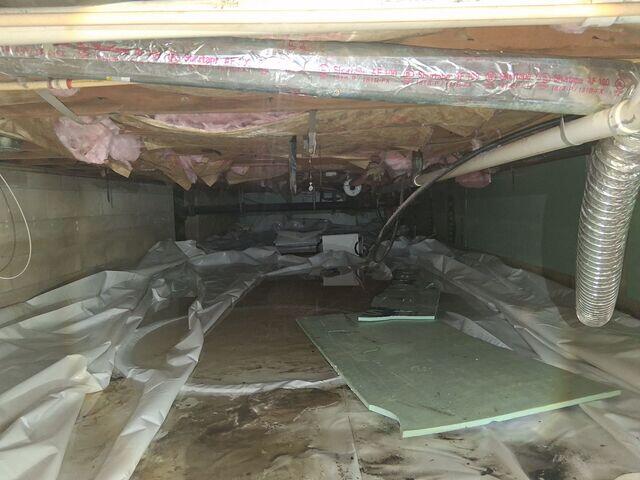 Damp Crawl Space