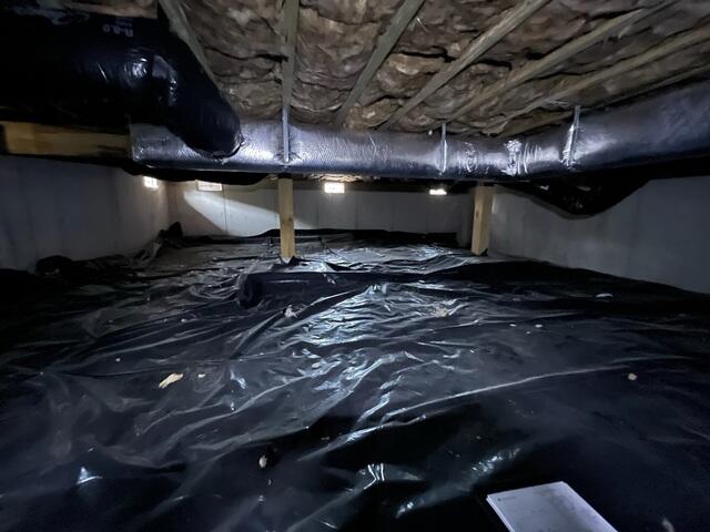 Crawl Space Before